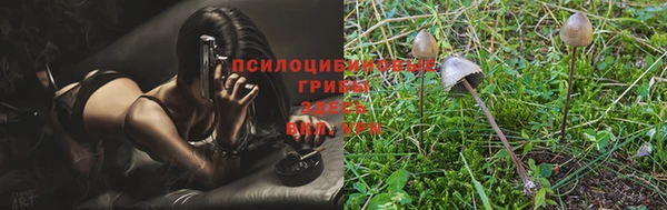гидропоника Заволжск